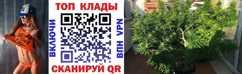 Гашиш Устюжна