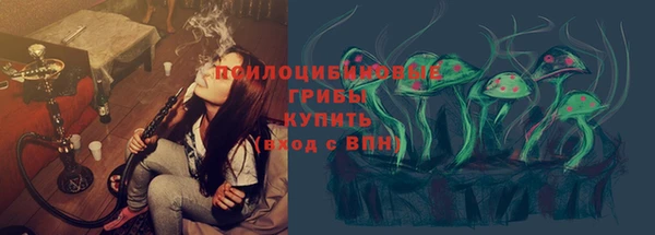 скорость Козловка