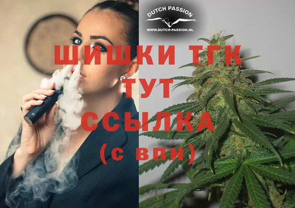 mdpv Кодинск