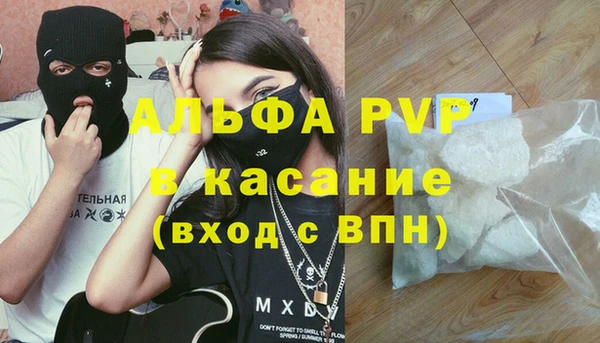 стафф Киреевск