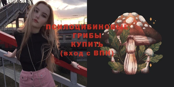 скорость Козловка