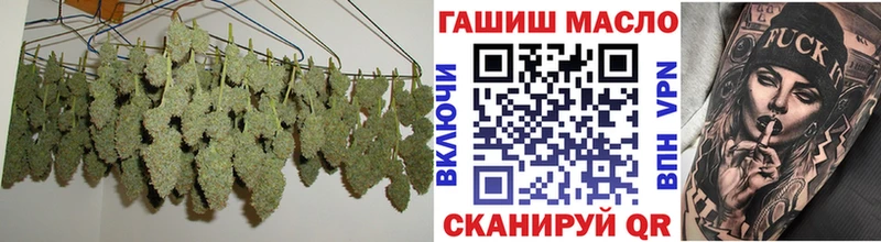 Купить закладки  Устюжна  ТГК концентрат 