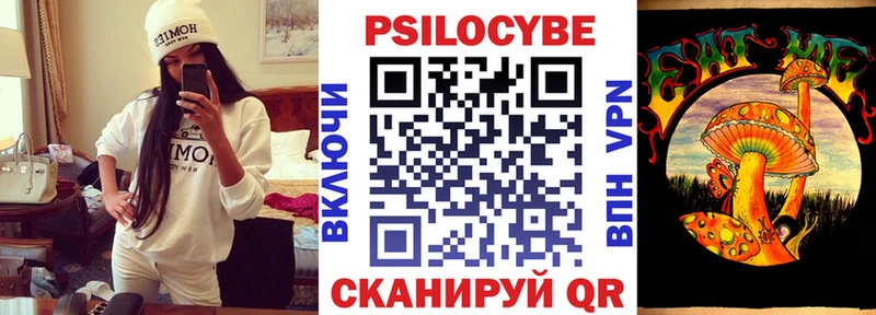 Купить где  Устюжна  Галлюциногенные грибы Psilocybine cubensis 